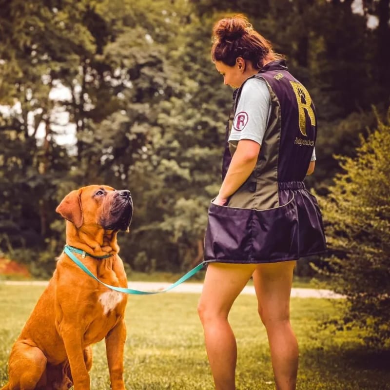 A trainer working with a dog at Ridgeside K9 Tidewater